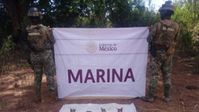 Marina aseguró e inhabilitó cuatro artefactos explosivos improvisados hallados en una zona rural de Elota.