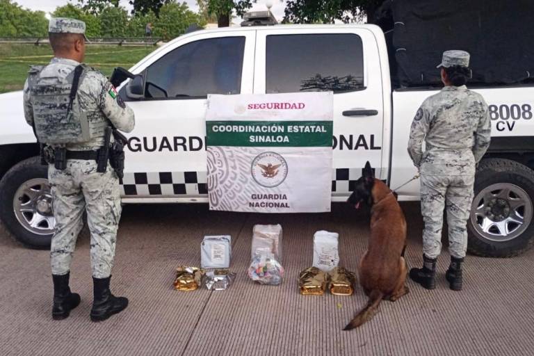 Guardia Nacional asegura mariguana y vapeadores en empresa de mensajería en Culiacán