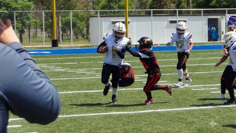 Halcones de Mazatlán pelea por los títulos y termina con tres subcampeonatos.