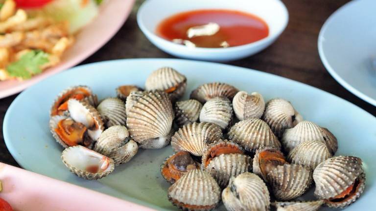 Los moluscos bivalvos y caracoles estarán prohibidos para su consumo debido a medidas sanitarias.