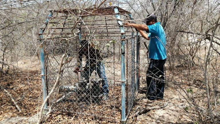 Más de 20 días duró la reparación de la bomba en el acueducto Baluarte-Teacapán, pero dejó de funcionar.