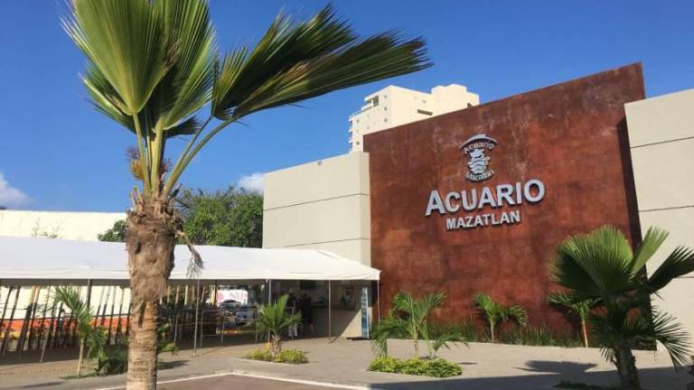 El antiguo Acuario Mazatlán, que operó por 42 años en el puerto, registra pérdidas económicas aun después de su cierre.