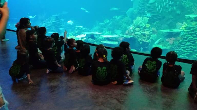 La gente local tiene tarifa preferencial mostrando su identificación.