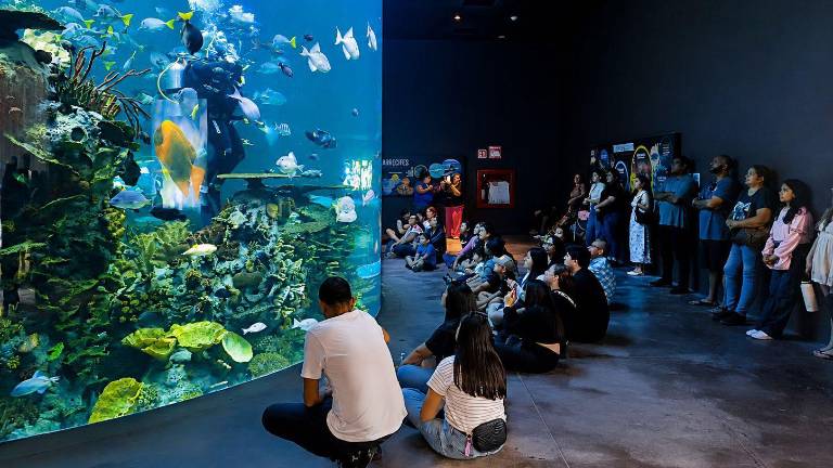 Casi 2.3 millones de exploradores han vivido la experiencia del Gran Acuario.