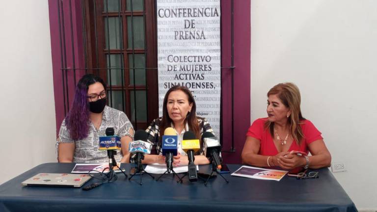 El colectivo Mujeres Activas Sinaloenses interpuso un Juicio para la Protección de los Derechos Políticos del Ciudadano, en esta caso ciudadanas.