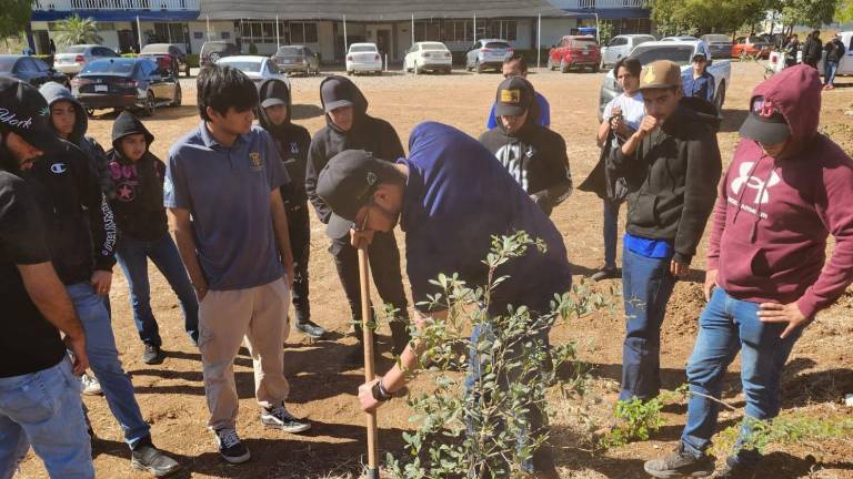 Estudiantes de la licenciatura en Agronomía participan activamente en labores de cuidado, conservación y mejoramiento de áreas verdes.