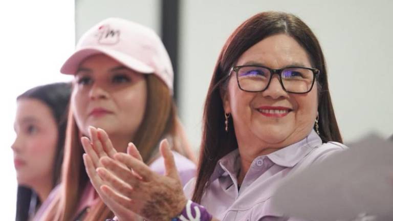 La Senadora por Morena Imelda Castro Castro sugirió que la Diputada local con licencia y dirigente morenista, Almendra Negrete debe revisar su actuar político y personal.