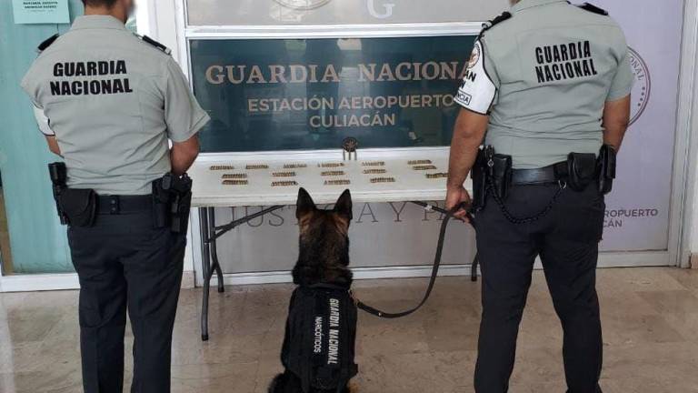 Guardia Nacional asegura drogas y armas en Sinaloa