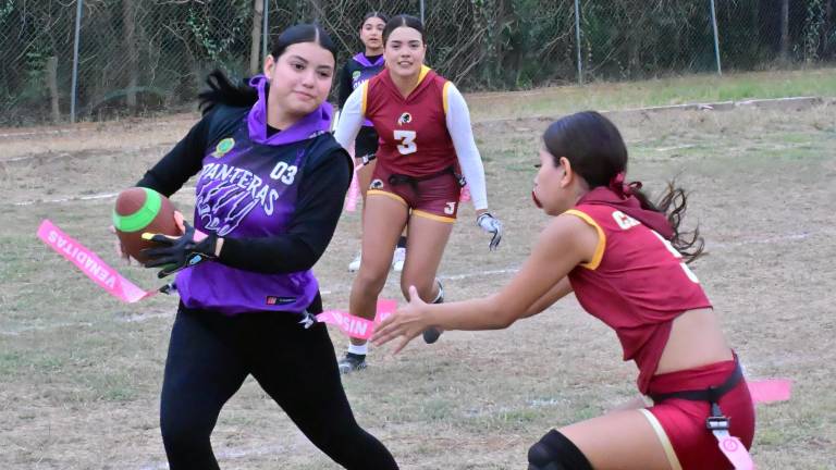 Inauguran Segundo Tazoncito Upsin de Tochito Bandera