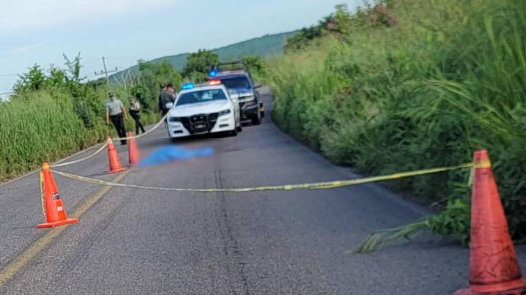 En la salida norte de Escuinapa fue encontrado un hombre atropellado sobre la carretera.