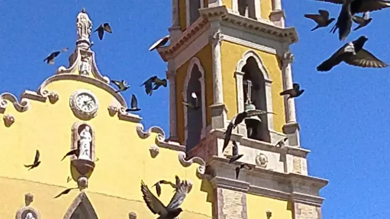 Se tendrán las reliquias de San José Sánchez del Río en la Catedral de Mazatlán