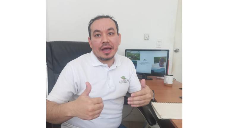 Luis Bojórquez, director de Programas de Conselva.