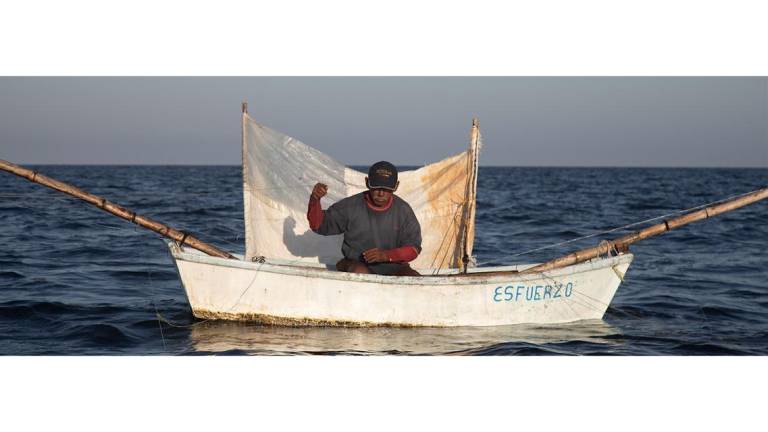 ‘Este Gobierno fue la gota que derramó el vaso del fracaso del sector pesquero en México’