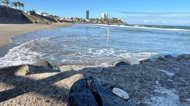 Empresa responsable del derrame de hidrocarburos ‘todavía no se tiene identificada’: Sheinbaum; crea grupo interdisciplinario para atender emergencia