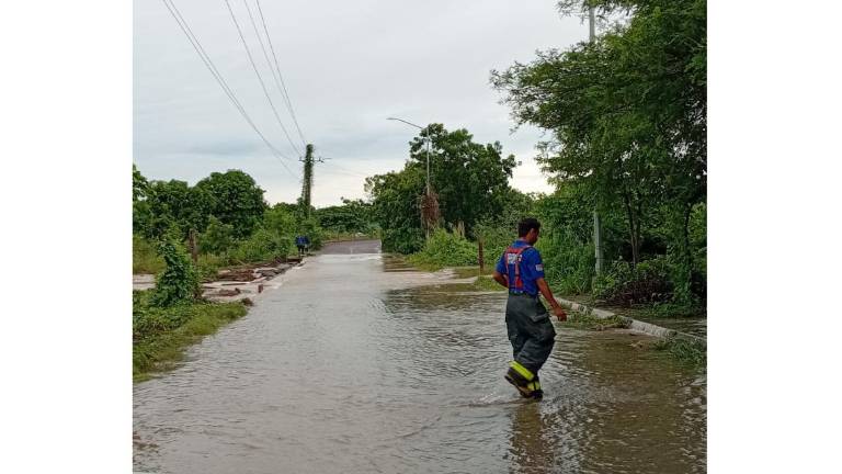 El arroyo El Caimán, al norte de Escuinapa, se desbordó y la Universidad Tecnológica de Escuinapa debió ser desalojada.