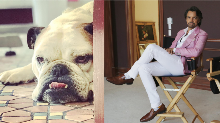El actor y cineasta Eugenio Derbez llora la muerte de su perrita Fiona.
