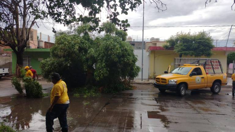 Lluvias por ‘Enrique’ deja daños menores en Guasave