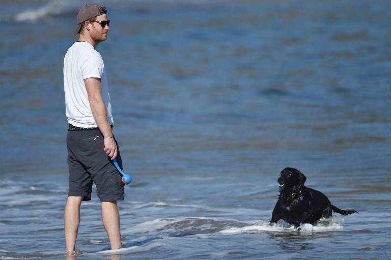 El Príncipe Harry disfruta de la playa como un californiano más