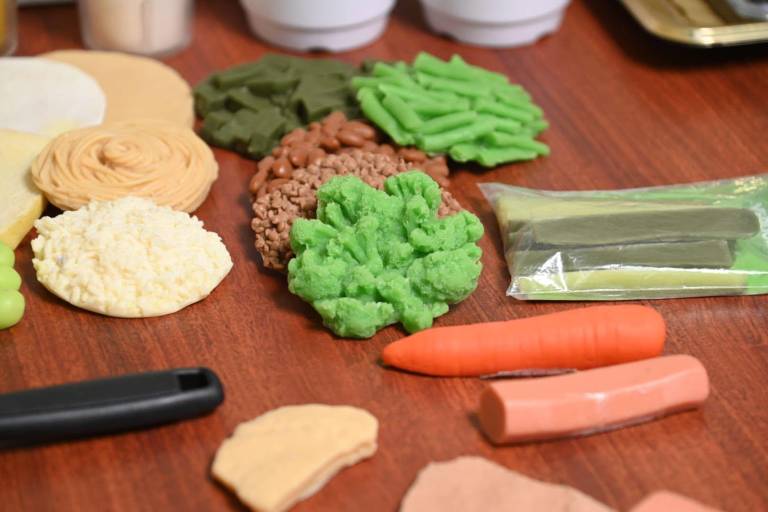 Desarrollan investigadoras de la UAS, CIAD y LANIIA el estudio pionero ‘NutriBiota’ para combatir la inflamación metabólica y la obesidad en la población local