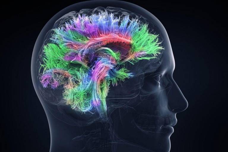 ¿Conoces las preferencias de tu cerebro?