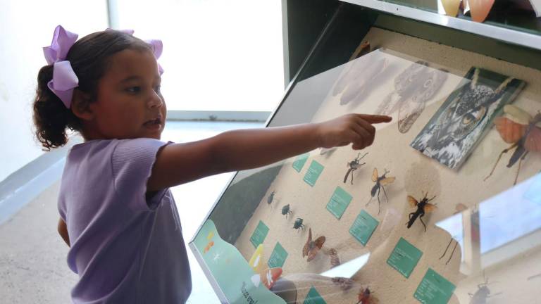 El Centro de Ciencias de Sinaloa abrirá sus tradicionales cursos de verano con actividades científicas, experimentos y manualidades para niñas y niños.