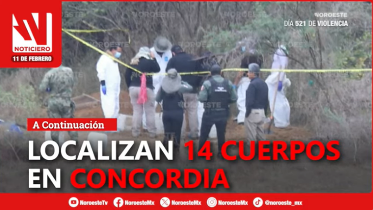 Ponte al día con las noticias que importan en Sinaloa.