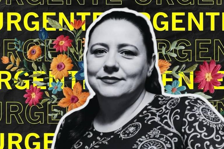 Claudia Sheinbaum urge investigar a fondo asesinato de buscadora en Jalisco