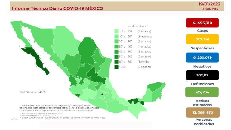 Reporte de los casos de Covid-19 en México.