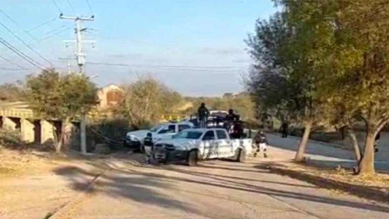 Hallan ocho cuerpos colgados en árboles y puentes de Zacatecas