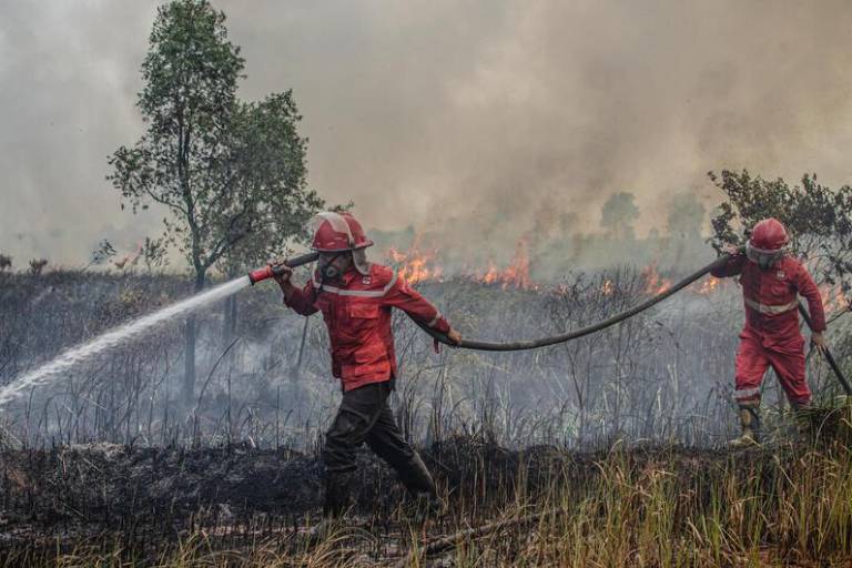 América Latina sufre fenómenos extremos a causa de El Niño y el cambio climático