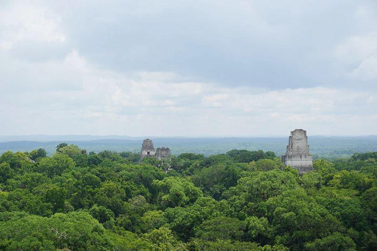 $!La Reserva de la Biósfera Maya en Guatemala. La deforestación a gran escala en la región se ha vinculado, en parte, al narcotráfico, afirman los expertos.