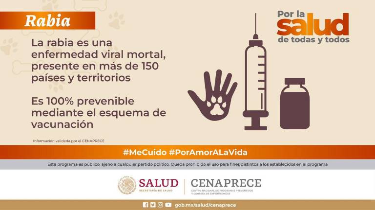La Secretaría de Salud federal ha compartido en redes sociales información sobre la prevención de la rabia y también su transmisión.