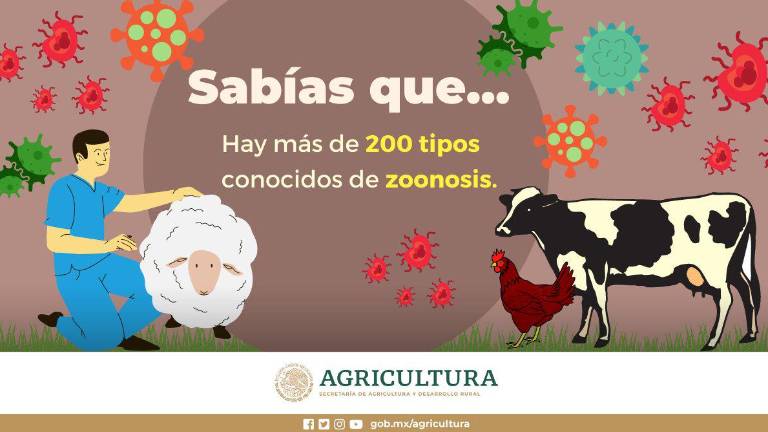 Hoy 6 De Julio Es El D a Mundial De La Zoonosis