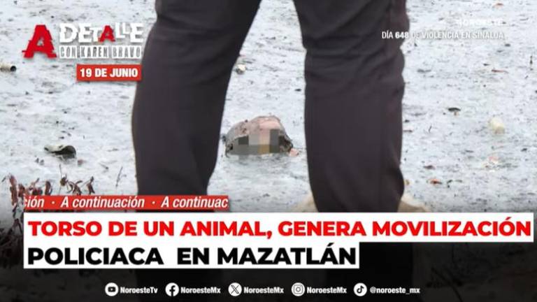 Ponte al día con las noticias que importan en Sinaloa.