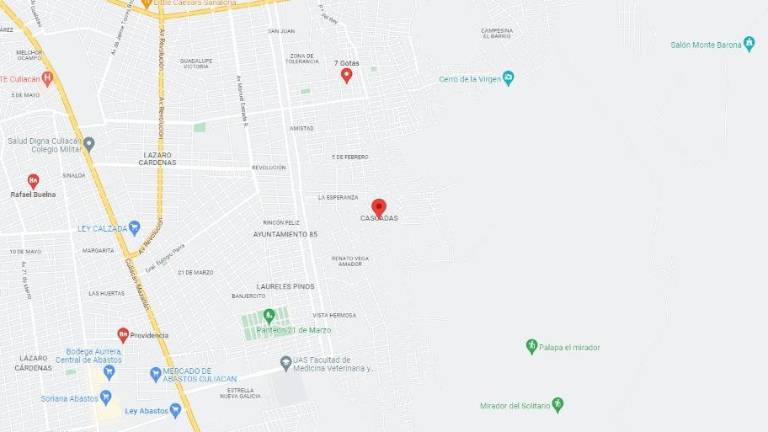 La familia Félix Tamayo es dueña de 100 hectáreas en disputa por invasión en Culiacán; acusa que autoridades no le han atendido