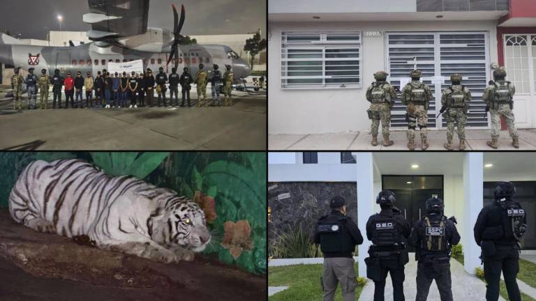 Operativo en tres estados del Gobierno de México contra el Cártel de Jalisco Nueva Generación.