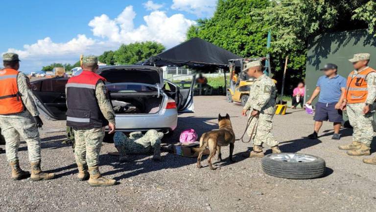 El vehículo llevaba droga oculta en un doble fondo y fue detenido en un punto de revisión en Ahome.