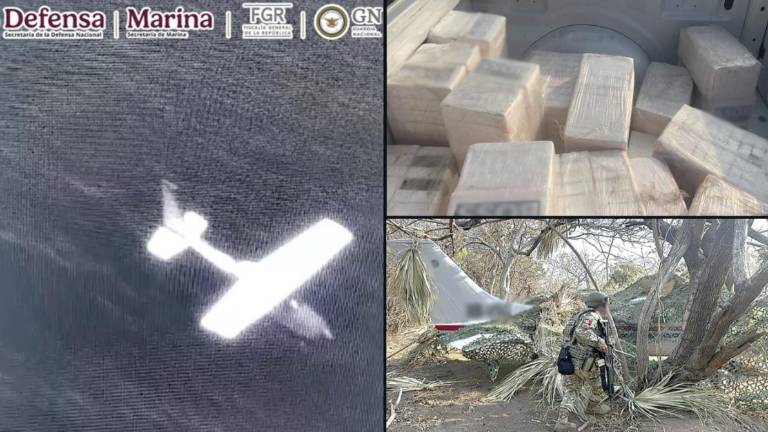 El Gabinete de Seguridad informó la intercepción de una avioneta que transportaba cocaína en Oaxaca.