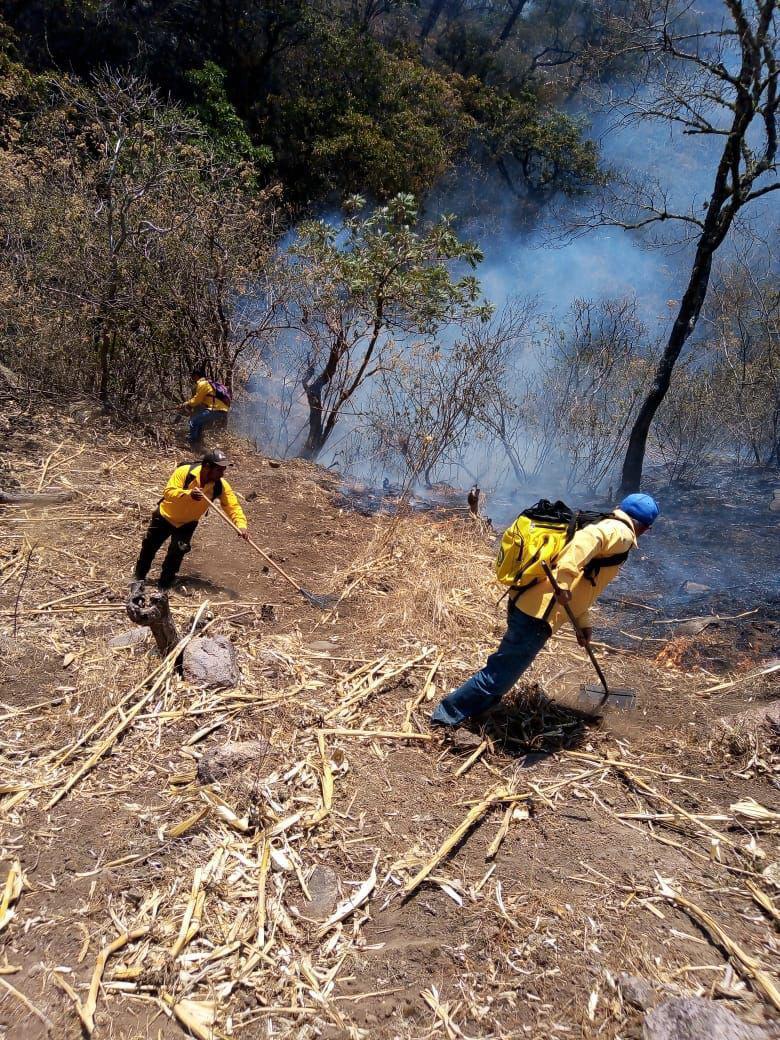 $!Reporta Gobierno de Sinaloa que incendio en sierra de Concordia está controlado