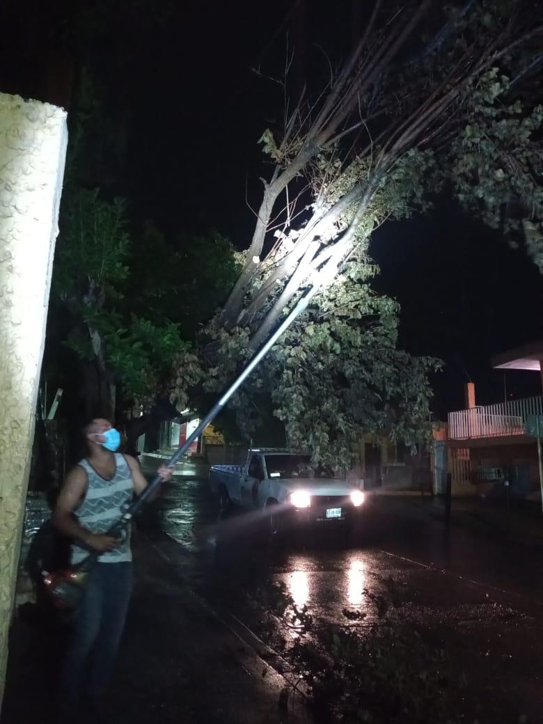 $!Basura, árboles caídos y hasta 50 milímetros de agua dejan las lluvias del miércoles, en Culiacán