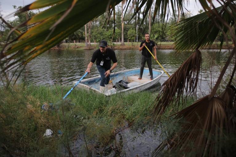 Realizan limpieza y dan un respiro a la Laguna del Camarón en Mazatlán