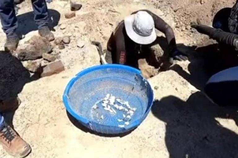Colectivo descarta montaje tras hallazgo de rancho en Teuchitlán, Jalisco