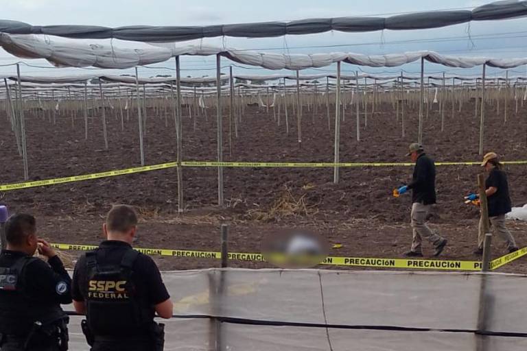 Encuentran asesinado a velador de campo agrícola de Costa Rica, al sur de Culiacán