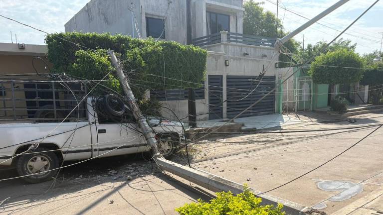Uno de los postes cayó sobre un auto estacionado.