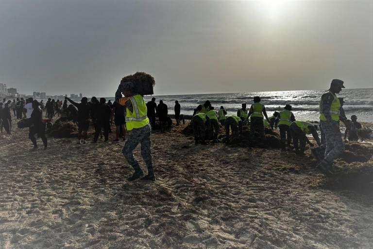 Luchan contra el sargazo en playas de Cancún