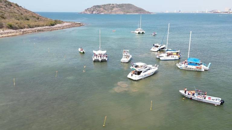Autoridades marcaron con boyas una zona de nado seguro en Isla de Venados para proteger a los visitantes.