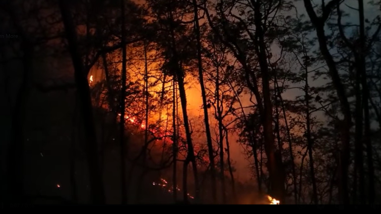 Confirma Sebides que incendio forestal en Surutato está controlado