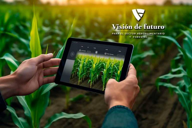 Presenta el Consejo Nacional Agropecuario una Visión para el Futuro del Campo