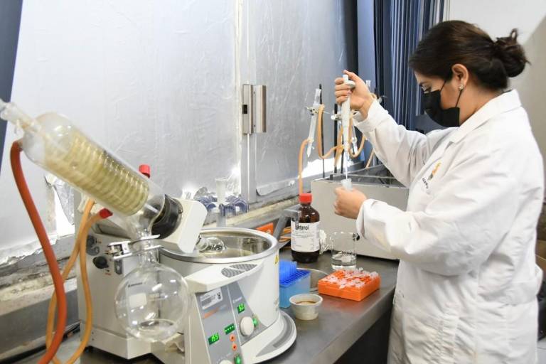 La UAS se consolida como referente científico en Sinaloa, con crecimiento del 24% en el Sistema Nacional de Investigadoras e Investigadores (SNII)