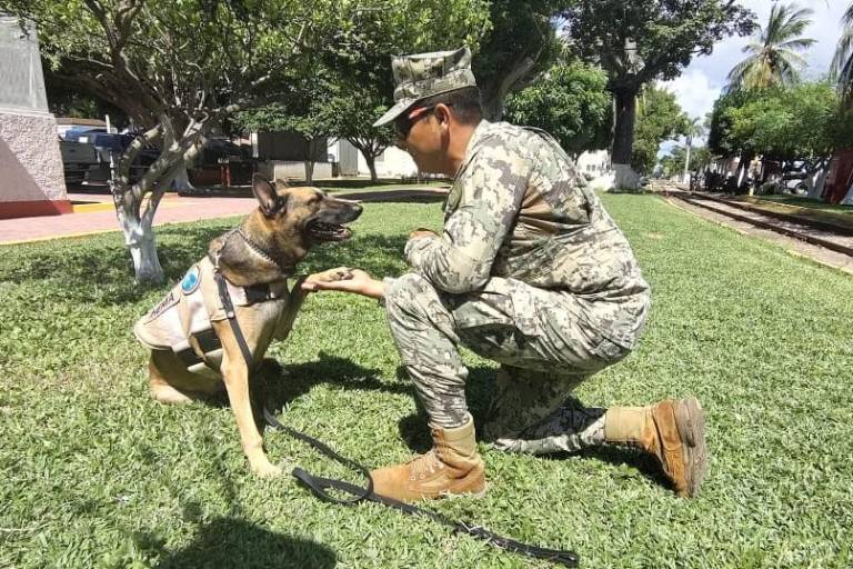 Rinde Marina homenaje al canino ‘Hema’, en emotiva ceremonia de jubilación, en Mazatlán